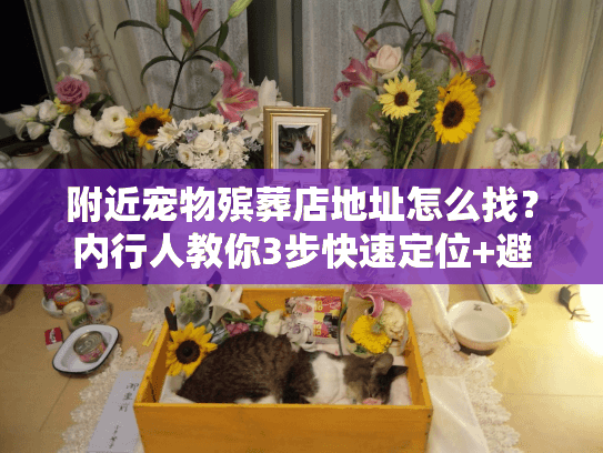 附近宠物殡葬店地址怎么找？内行人教你3步快速定位+避坑技巧（2024实用）