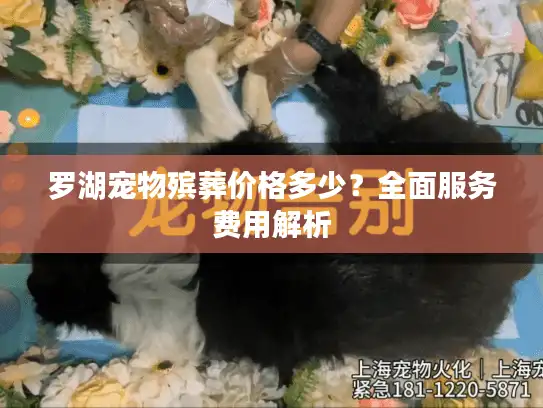 罗湖宠物殡葬价格多少？全面服务费用解析