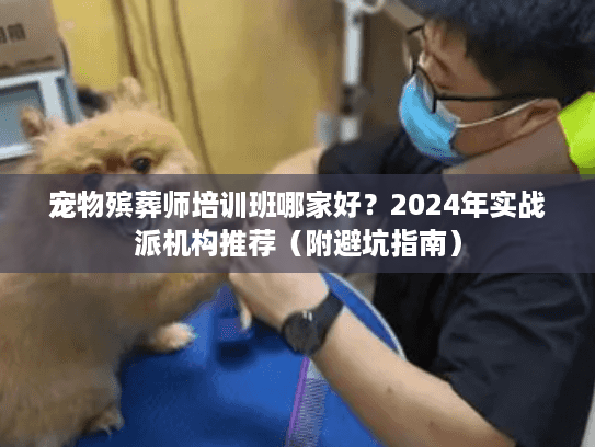 宠物殡葬师培训班哪家好？2024年实战派机构推荐（附避坑指南）