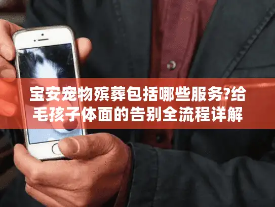 宝安宠物殡葬包括哪些服务?给毛孩子体面的告别全流程详解