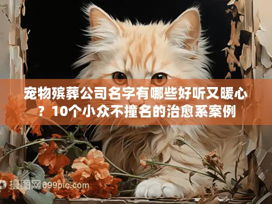 宠物殡葬公司名字有哪些好听又暖心？10个小众不撞名的治愈系案例