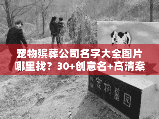 宠物殡葬公司名字大全图片哪里找？30+创意名+高清案例帮你选（2025最新）
