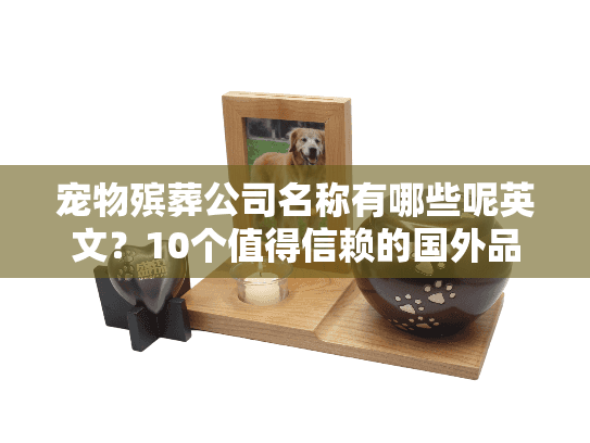 宠物殡葬公司名称有哪些呢英文？10个值得信赖的国外品牌+本土小众精选