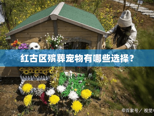 红古区殡葬宠物有哪些选择？