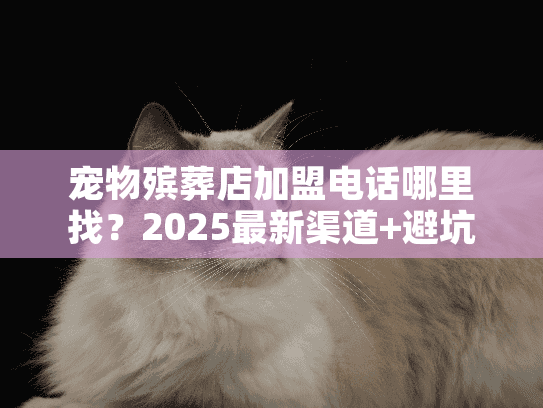 宠物殡葬店加盟电话哪里找?2025最新渠道+避坑指南(附真实案例) 宠物殡葬店加盟电话哪里找?2025最新渠道+避坑指南(附真实案例)
