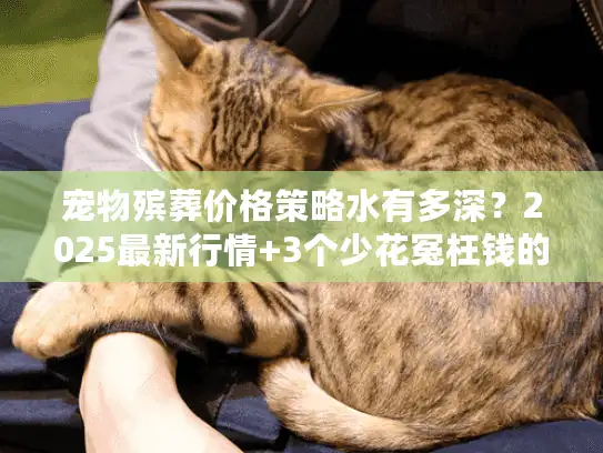 宠物殡葬价格策略水有多深？2025最新行情+3个少花冤枉钱的实战妙招