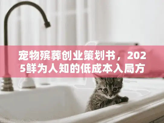 宠物殡葬创业策划书，2025鲜为人知的低成本入局方案，新手也能快速落地？
