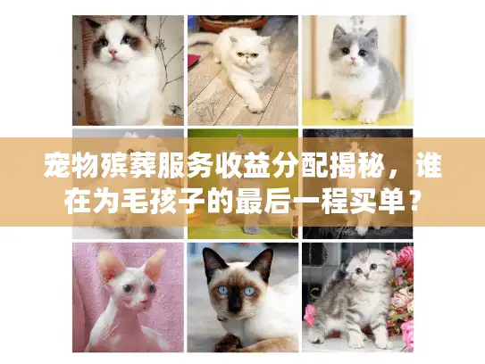 宠物殡葬服务收益分配揭秘,谁在为毛孩子的最后一程买单? 宠物殡葬服务收益分配揭秘,谁在为毛孩子的最后一程买单?