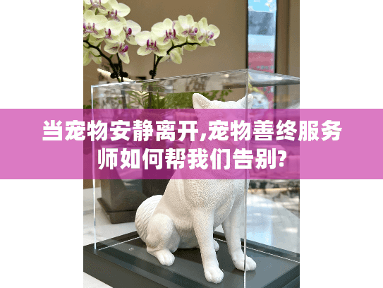 当宠物安静离开,宠物善终服务师如何帮我们告别? 当宠物安静离开,宠物善终服务师如何帮我们告别?