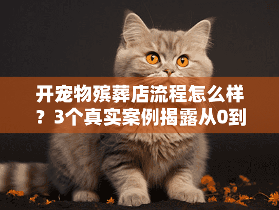 开宠物殡葬店流程怎么样？3个真实案例揭露从0到1的全部细节