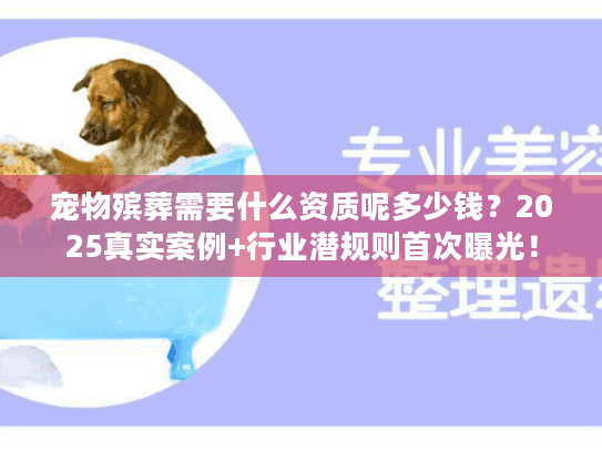 宠物殡葬需要什么资质呢多少钱?2025真实案例+行业潜规则首次曝光! 宠物殡葬需要什么资质呢多少钱?2025真实案例+行业潜规则首次曝光!