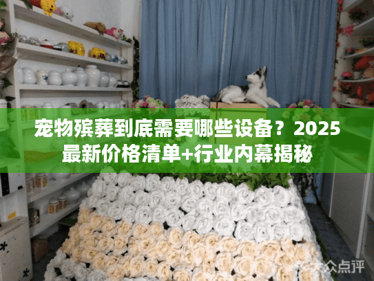 宠物殡葬到底需要哪些设备？2025最新价格清单+行业内幕揭秘