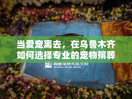 当爱宠离去,在乌鲁木齐如何选择专业的宠物殡葬公司? 当爱宠离去,在乌鲁木齐如何选择专业的宠物殡葬公司?