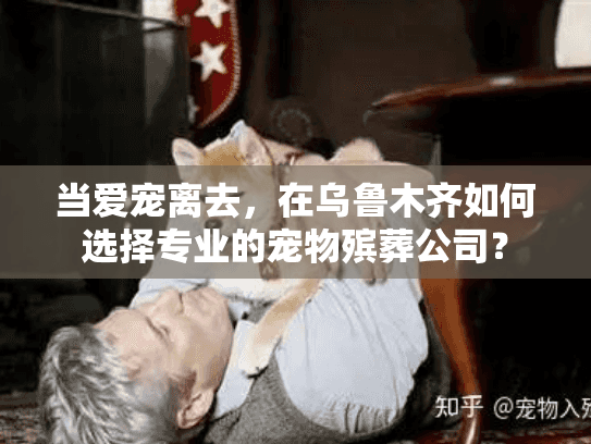 当爱宠离去,在乌鲁木齐如何选择专业的宠物殡葬公司? 当爱宠离去,在乌鲁木齐如何选择专业的宠物殡葬公司?