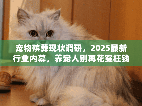 宠物殡葬现状调研，2025最新行业内幕，养宠人别再花冤枉钱！