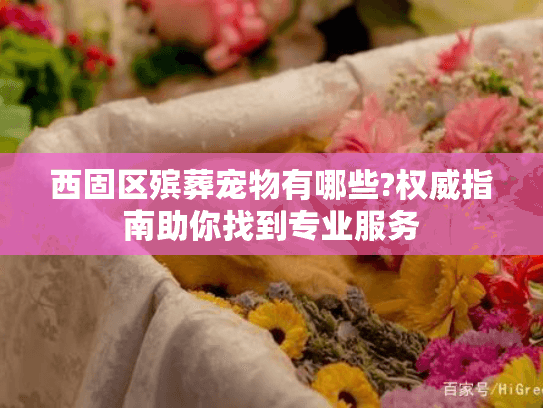 西固区殡葬宠物有哪些?权威指南助你找到专业服务 西固区殡葬宠物有哪些?权威指南助你找到专业服务