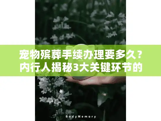 宠物殡葬手续办理要多久？内行人揭秘3大关键环节的时间真相