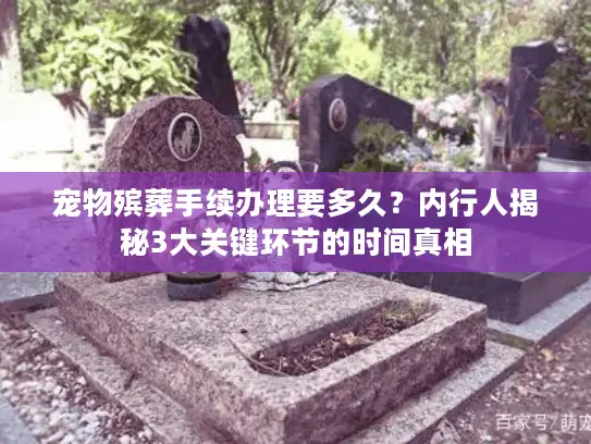 宠物殡葬手续办理要多久？内行人揭秘3大关键环节的时间真相