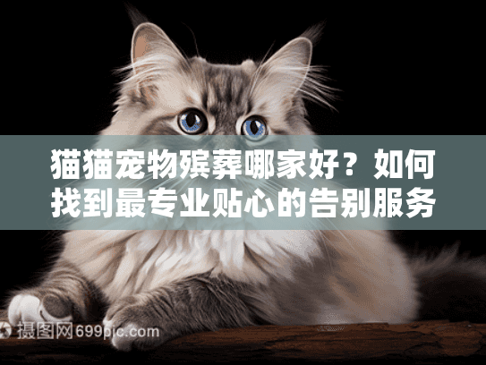 猫猫宠物殡葬哪家好？如何找到最专业贴心的告别服务？