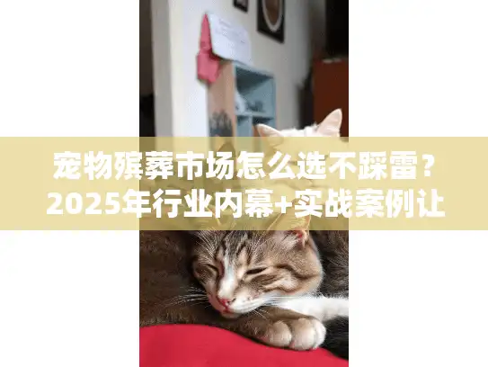 宠物殡葬市场怎么选不踩雷?2025年行业内幕+实战案例让你少花冤枉钱 宠物殡葬市场怎么选不踩雷?2025年行业内幕+实战案例让你少花冤枉钱