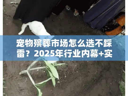宠物殡葬市场怎么选不踩雷?2025年行业内幕+实战案例让你少花冤枉钱 宠物殡葬市场怎么选不踩雷?2025年行业内幕+实战案例让你少花冤枉钱
