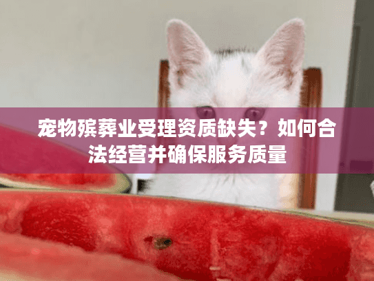 宠物殡葬业受理资质缺失？如何合法经营并确保服务质量
