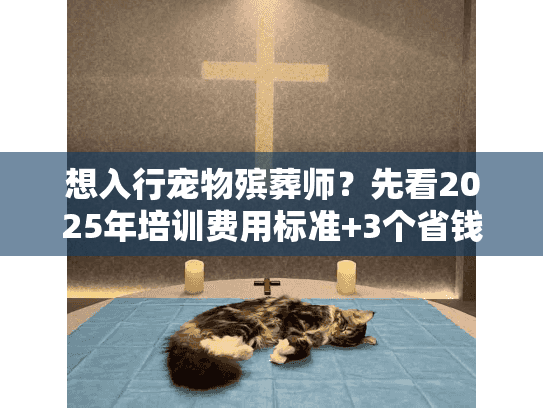 想入行宠物殡葬师？先看2025年培训费用标准+3个省钱技巧