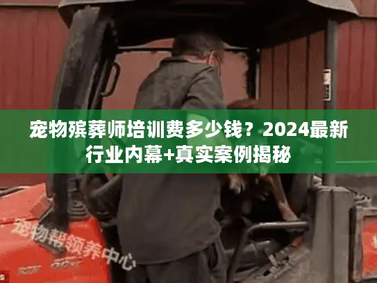 宠物殡葬师培训费多少钱？2024最新行业内幕+真实案例揭秘