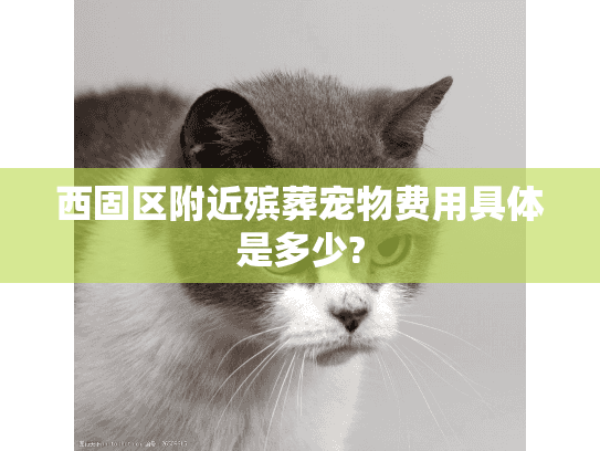 西固区附近殡葬宠物费用具体是多少?