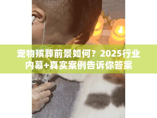 宠物殡葬前景如何？2025行业内幕+真实案例告诉你答案