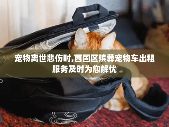 宠物离世悲伤时,西固区殡葬宠物车出租服务及时为您解忧