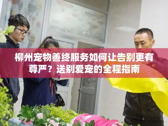 柳州宠物善终服务如何让告别更有尊严？送别爱宠的全程指南