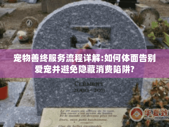 宠物善终服务流程详解:如何体面告别爱宠并避免隐藏消费陷阱?