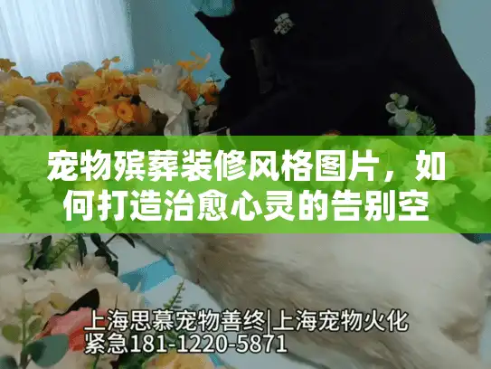 宠物殡葬装修风格图片,如何打造治愈心灵的告别空间 宠物殡葬装修风格图片,如何打造治愈心灵的告别空间