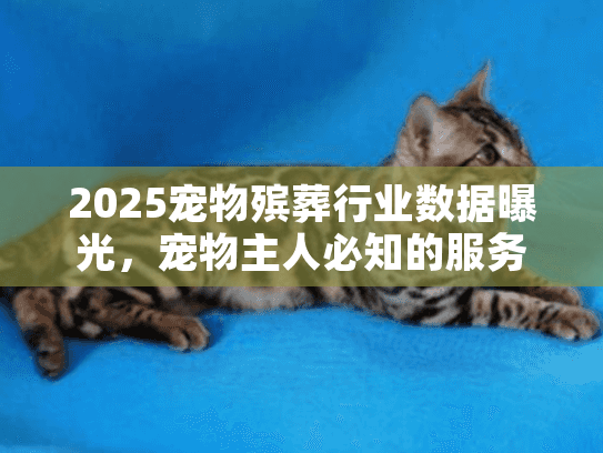 2025宠物殡葬行业数据曝光，宠物主人必知的服务选择真相，90%的人都踩过这些坑？
