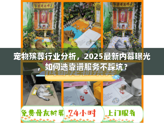 宠物殡葬行业分析，2025最新内幕曝光，如何选靠谱服务不踩坑？