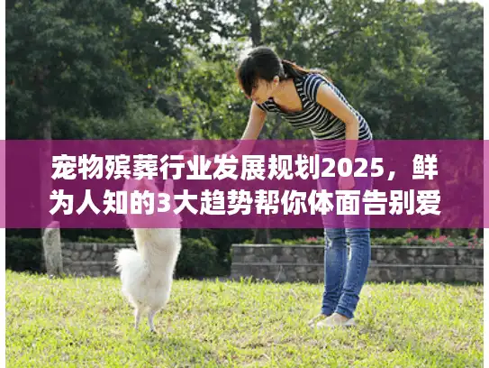 宠物殡葬行业发展规划2025，鲜为人知的3大趋势帮你体面告别爱宠？