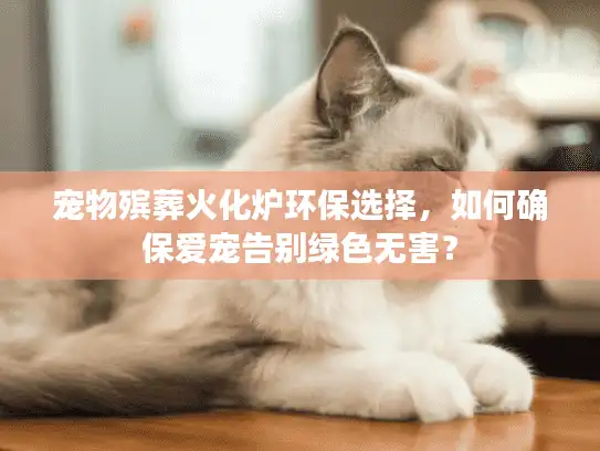 宠物殡葬火化炉环保选择,如何确保爱宠告别绿色无害? 宠物殡葬火化炉环保选择,如何确保爱宠告别绿色无害?