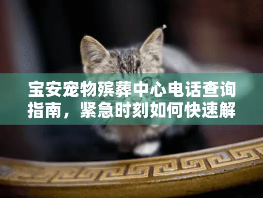 宝安宠物殡葬中心电话查询指南，紧急时刻如何快速解决您的需求