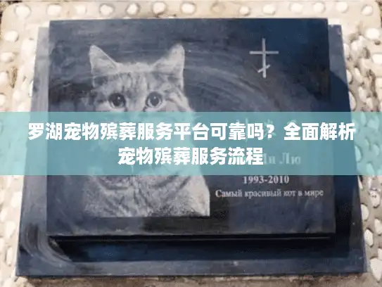 罗湖宠物殡葬服务平台可靠吗？全面解析宠物殡葬服务流程