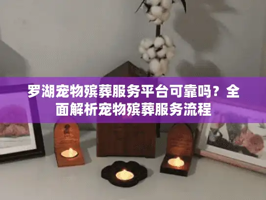 罗湖宠物殡葬服务平台可靠吗？全面解析宠物殡葬服务流程