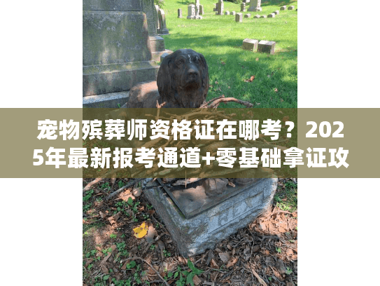 宠物殡葬师资格证在哪考？2025年最新报考通道+零基础拿证攻略（内附行业准入门槛）