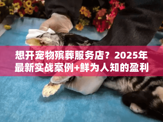 想开宠物殡葬服务店?2025年最新实战案例+鲜为人知的盈利门道全揭秘 想开宠物殡葬服务店?2025年最新实战案例+鲜为人知的盈利门道全揭秘