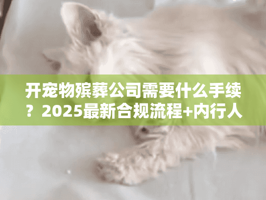 开宠物殡葬公司需要什么手续？2025最新合规流程+内行人避坑秘籍