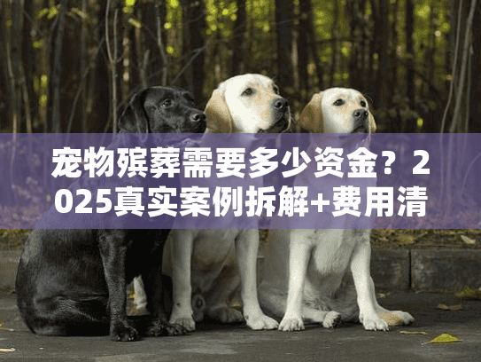 宠物殡葬需要多少资金？2025真实案例拆解+费用清单全公开