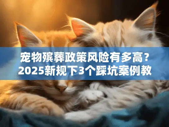 宠物殡葬政策风险有多高？2025新规下3个踩坑案例教你避开雷区