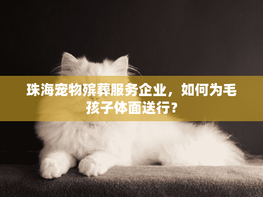 珠海宠物殡葬服务企业，如何为毛孩子体面送行？