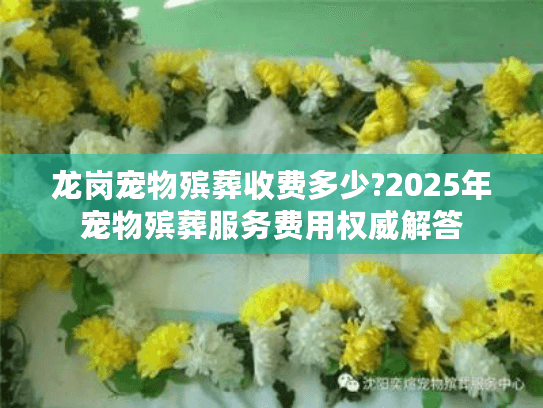 龙岗宠物殡葬收费多少?2025年宠物殡葬服务费用权威解答