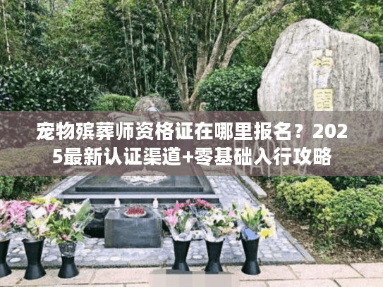宠物殡葬师资格证在哪里报名？2025最新认证渠道+零基础入行攻略