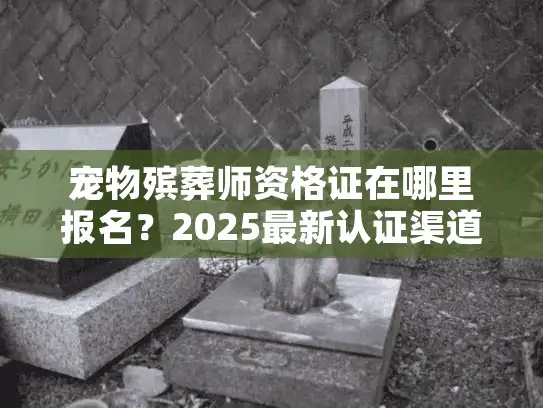 宠物殡葬师资格证在哪里报名？2025最新认证渠道+零基础入行攻略